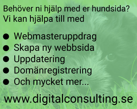 Digital Consulting