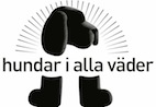 Hundar i alla väder