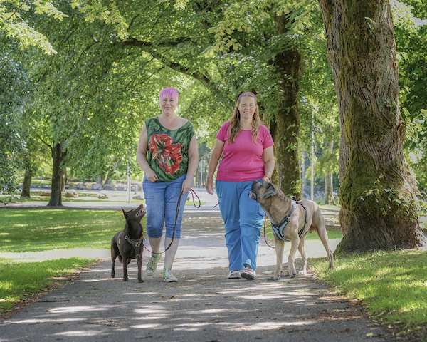 hundheltenkeltbild